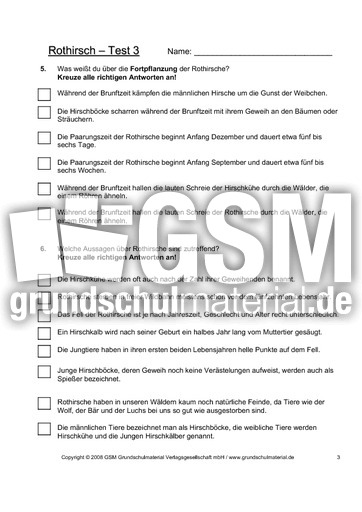 Rothirsch-Test-Seite-3.pdf